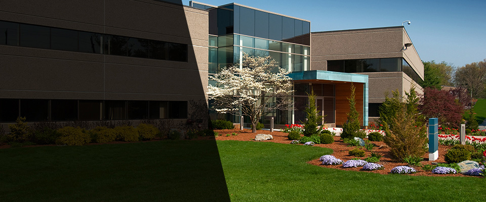 Morehead Landscapers