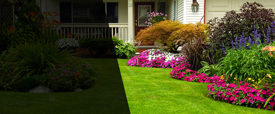 Morehead Landscapers
